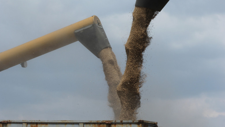 В Ямболско стигнаха среден добив от 476 кг/дка при пшеницата