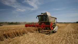 Реколта 2019: Пшеницата вече надхвърли миналогодишните 5,4 млн. тона - Agri.bg