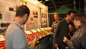 Агроиновации: Изследователи и потребители тестват нови сортове плодове - Снимка 2