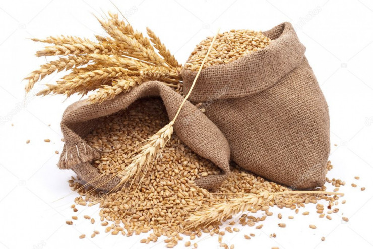 Продавам фуражна пшеница 19 т - Снимка 1