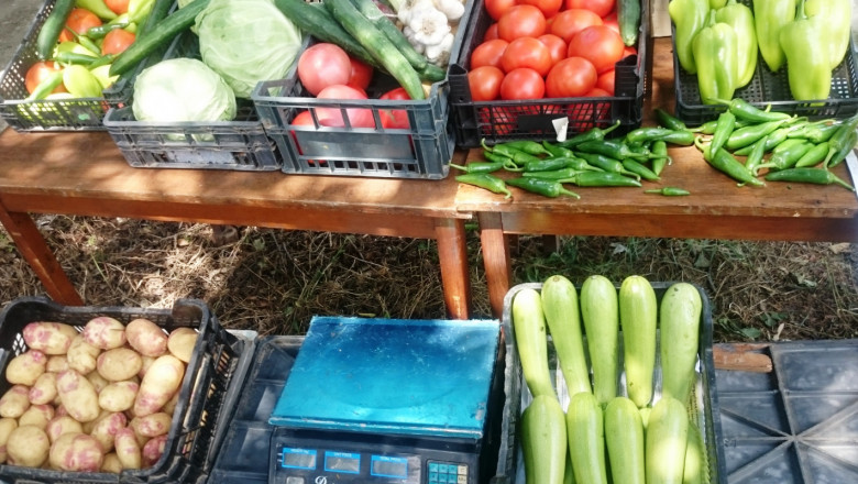 Събор на зеленчукопроизводителите събира най-добрите градинари в село Одринци