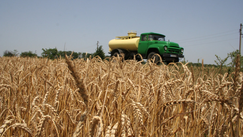 Борсите: Добра реколта, пшеницата в Европа поевтинява