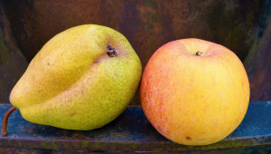 WAPA: Логичен спад на реколтата от ябълки и круши - Agri.bg