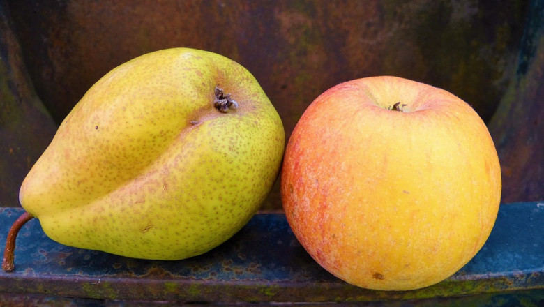 WAPA: Логичен спад на реколтата от ябълки и круши