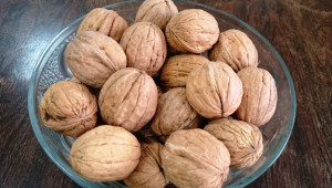 Прогнози: По-слаба реколта от орехи очакват в Добруджа - Снимка 2