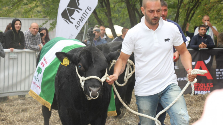 СТЕКСПО 2019: Най-добрите в сектора на месодайното животновъдство в Пловдив