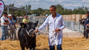 СТЕКСПО 2019: Най-добрите в сектора на месодайното животновъдство в Пловдив - Снимка 4