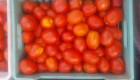 Домати-биологични домати - Снимка 1
