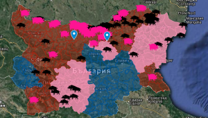 Десетки нови случаи на чумата по свинете в Източна Европа - Снимка 2