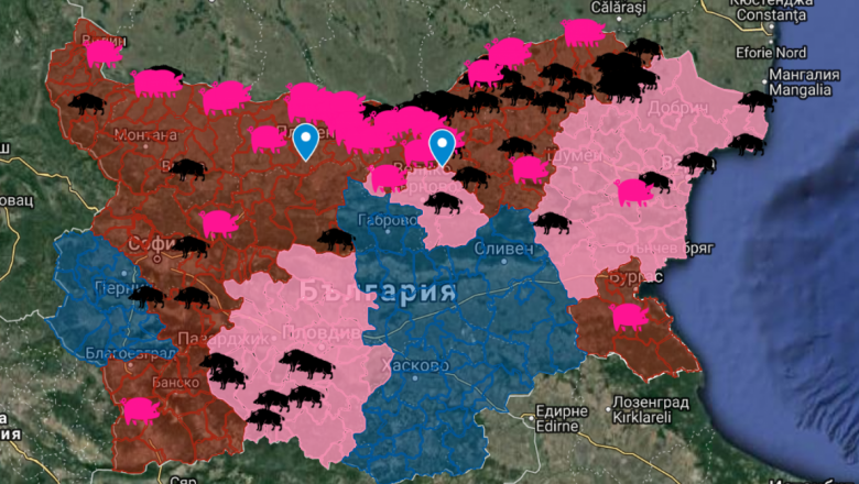 Десетки нови случаи на чумата по свинете в Източна Европа