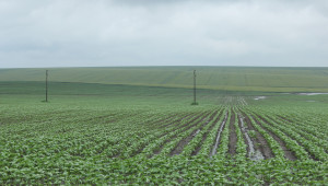Компенсират фермери с напълно пропаднали площи - Agri.bg