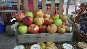 Вадят новите орехи и лешници на пловдивския пазар - Снимка 3