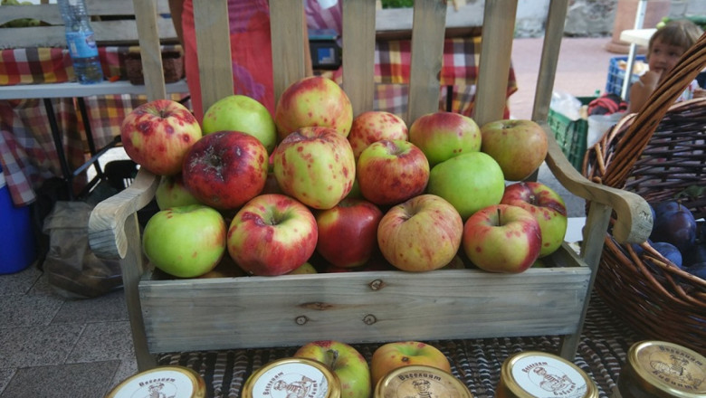 Вадят новите орехи и лешници на пловдивския пазар