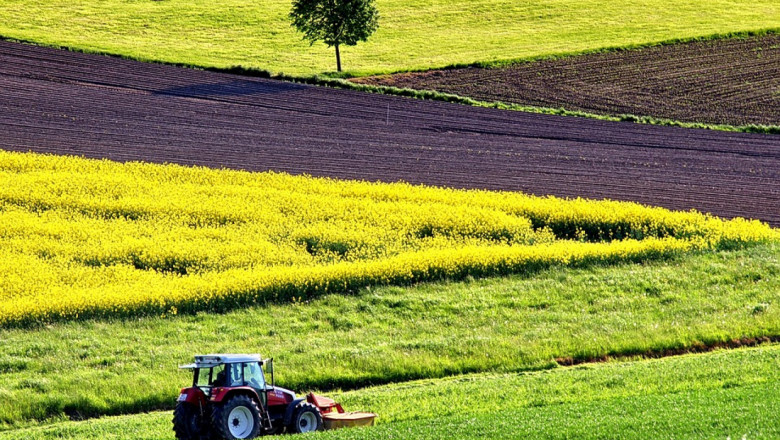 Европейските фермери не искат да сеят рапица