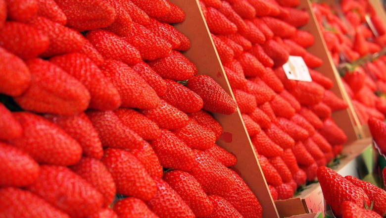 Технологичен гигант създава робот-събирач на ягоди