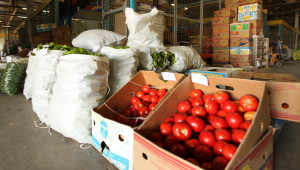 Производител: В Пловдивско зарязват доматите по борсите