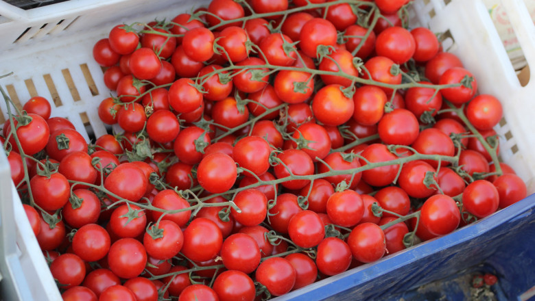Експерти: Внасяме с 18% повече домати всяка година