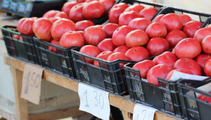 Отчитат по-слаб внос на домати у нас - Agri.bg