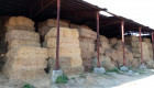 Квадрантни бали сено от просо - Снимка 5