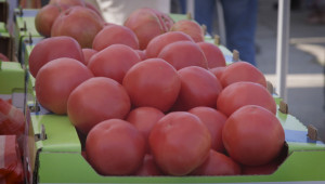 Фестивалът на розовия домат припомни вкуса на традициите - Снимка 1