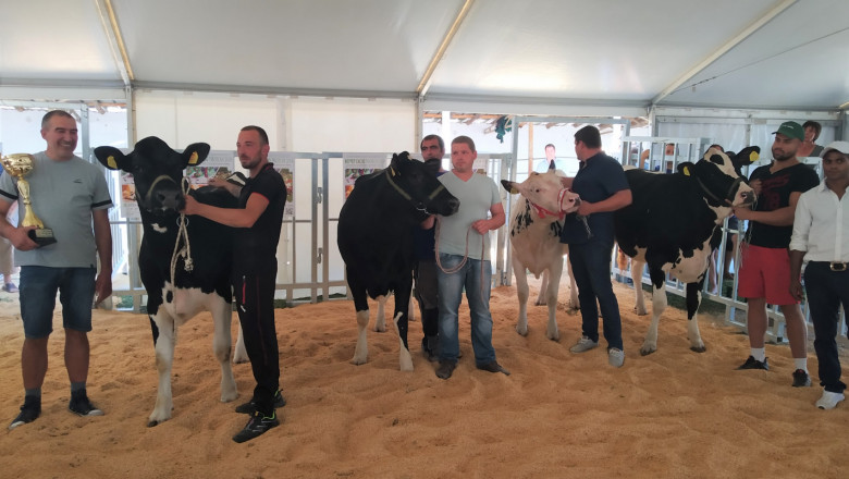 Фермер Експо Раковски 2019 – елитни животни и търг на говеда