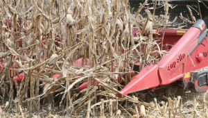 Към момента: Прибрана е двойно повече царевица - Agri.bg