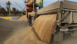 Поскъпване на пшеницата след два месеца спад