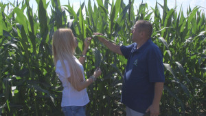 С Агрия АД царевицата е в сигурни ръце - Снимка 3
