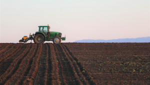 Зърнопроизводителите в Добруджа стискат палци за дъжд - Agri.bg