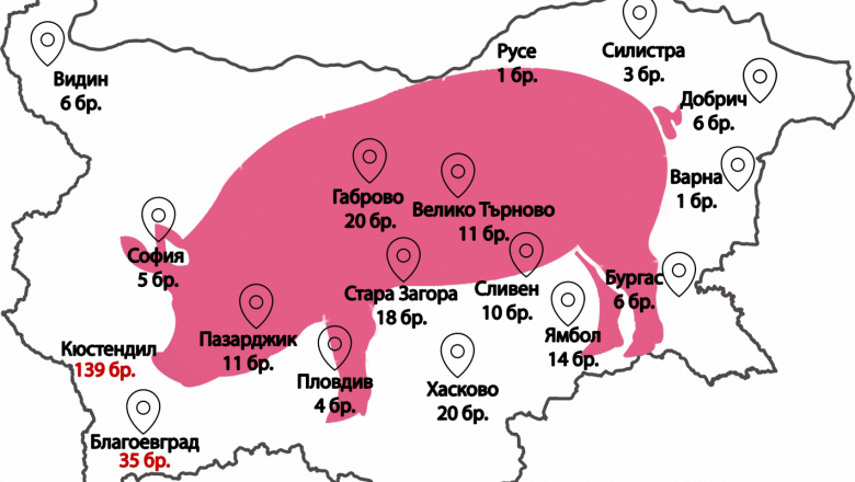 В Кюстендилско чупят рекорда за укрити прасета