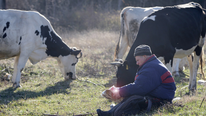ДФЗ разсрочва кредити на животновъди и картофопроизводители