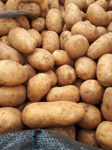Картофи на едро - Снимка 1