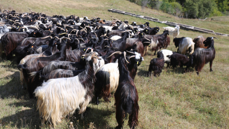 Пътят от Калоферската коза до симбиотичното земеделие