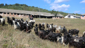 Пътят от Калоферската коза до симбиотичното земеделие - Снимка 5