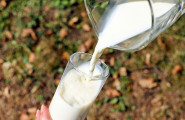 Асоциация на млекопреработвателите в България - лого на компанията