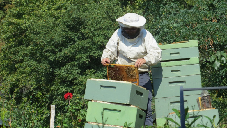 ДФЗ кани пчеларите да ги запознае с новите мерки за финансиране