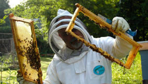 Пчелари, вижте новите възможности за еврофинансиране - Снимка 1