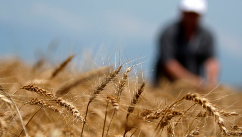 Семинарът на НАЗ: Възможности за зърнопроизводството след 2020 г.