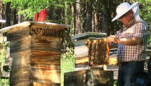 Добивът от мед в Калоферско се срина наполовина - Снимка 1