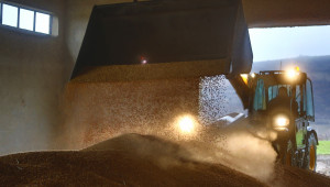 България се нарежда на 11-о място в света по износ на пшеница - Agri.bg