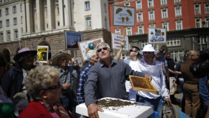 Пчелари излизат отново на протест - Снимка 3