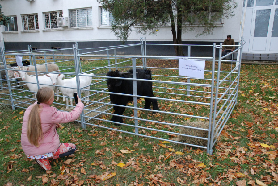 Ден на отворените врати в Изпълнителната агенция по селекция и репродукция в животновъдството - Снимка 3
