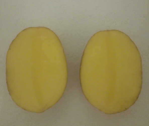 Картоф/Kartof на Едро - Снимка 1