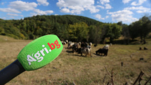Най-важното от аграрната седмица  (09.11 - 15.11.2019 г.) - Agri.bg