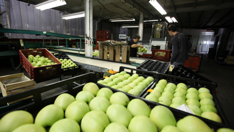 Новина в аванс: Увеличават бюджета и обхвата на помощта за съхранение на плодове и зеленчуци 