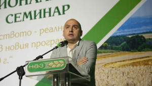 ДФЗ изплати втория транш за преходната национална помощ за овце и кози-майки - Agri.bg