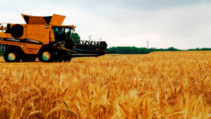 Накъде върви зърнопроизводството в Добруджа? - Снимка 1