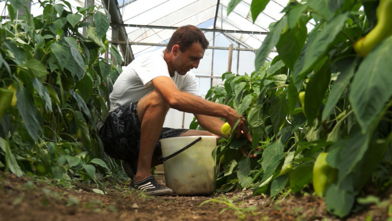 „Супер фермер“: Започва конкурсът „Моето стопанство“