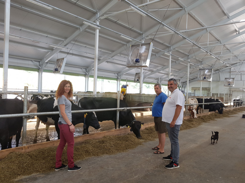 Семейна млечна ферма извлича ползи от автоматизиране на процесите