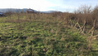 3 имота - Ферма : гора : ниви - общо 17 дка - Снимка 3